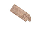 Taglieri Nautilus