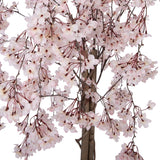 Albero Artificiale Fiori di Pesco Rosa 30×30×120 cm | Clayre & Eef