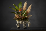 Porta Vaso Zebra Ravvicinato con Strelitzia Monstera Pampas